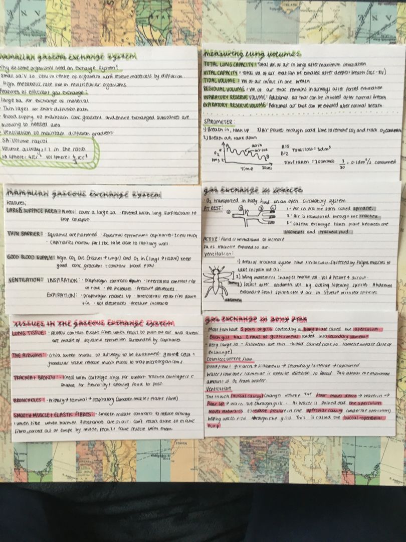 A Level Chemistry Flashcards Hindi Matra