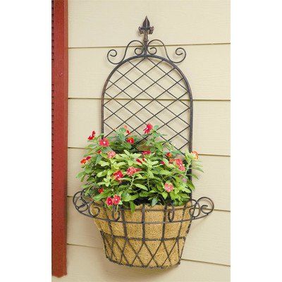 deer park wb134 finial x wall basket with cocoa liner click image for more details planter baskets on trellis indoor hooks hanging plants