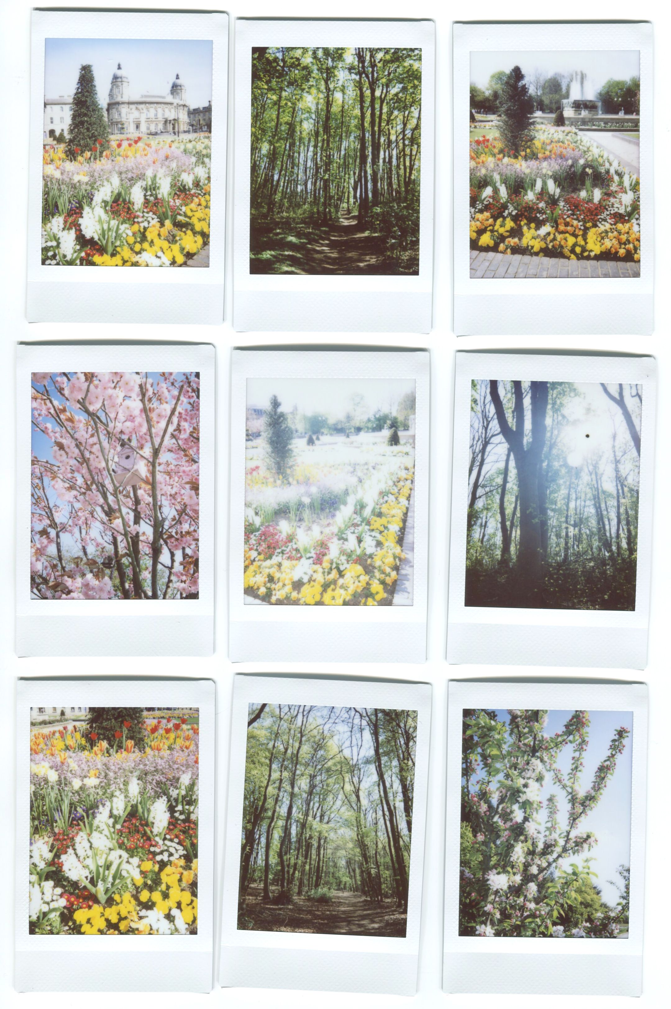 Kelly Harrison - Spring Polaroids | Poloroid pictures, Polaroid ...