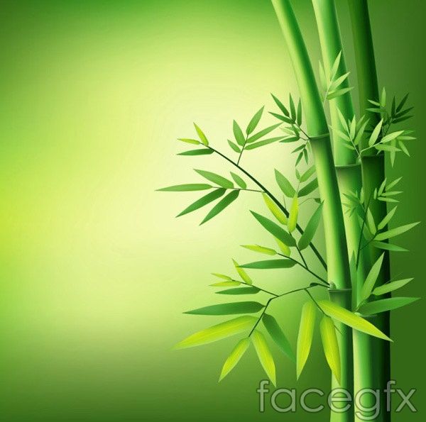 Green leaves of bamboo vector | Green nature wallpaper, Beautiful landscape  wallpaper, Flower background wallpaper