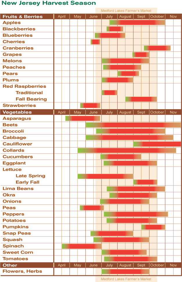 seasonal produce chart | Seasonal produce chart, In season produce ...