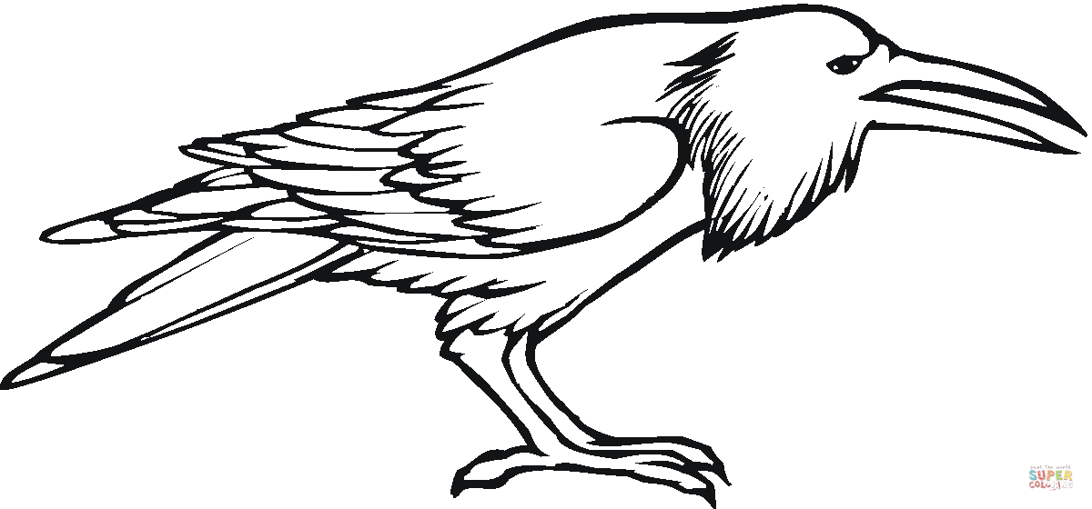 a black and white drawing of a crow