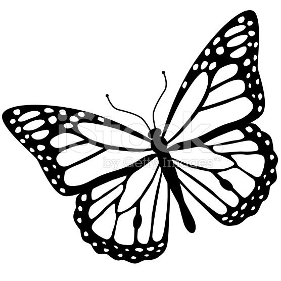 A Vector Illustration Of A Monarch Butterfly In Black And White