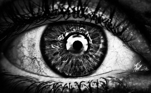 look me in the eye | Eye photography, Macro photography eyes, Macro ...