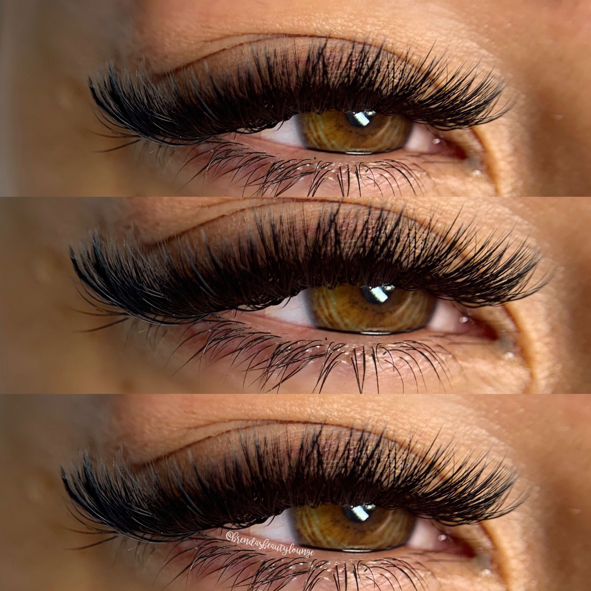 Cat Eyelash Extensions: The Ultimate Guide For 2023