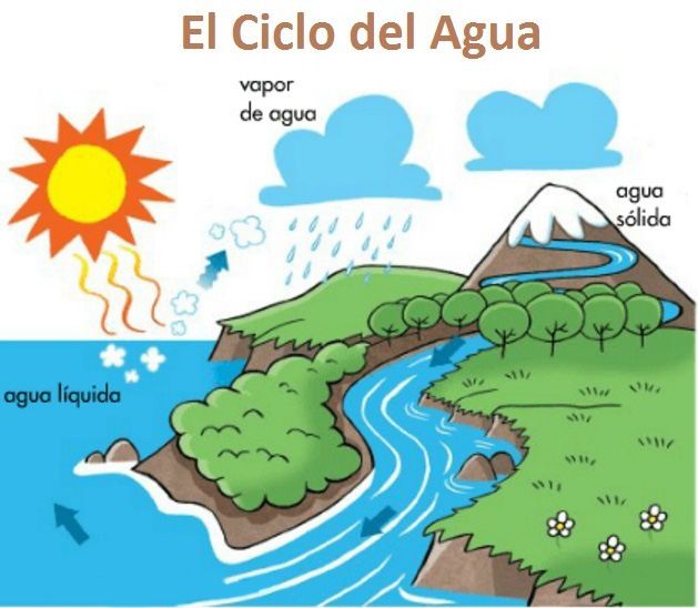 ciclo del agua, ciencias naturales, conocimiento del medio, fichas ...