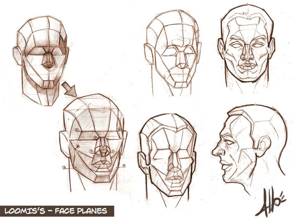 Drawing Class Lesson 7; Planar surfaces | Drawings, Portrait drawing ...