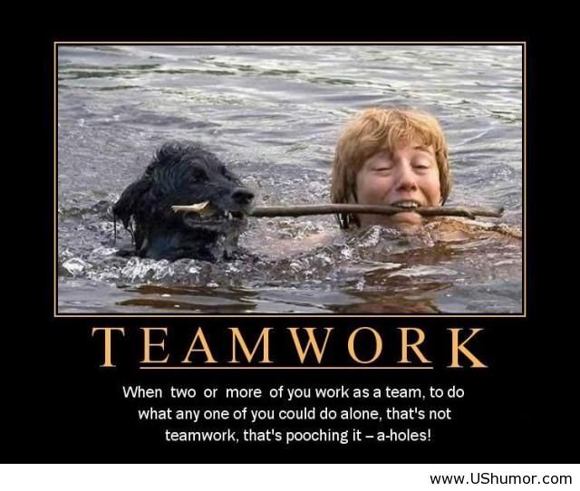 Funny Office Teamwork Pictures