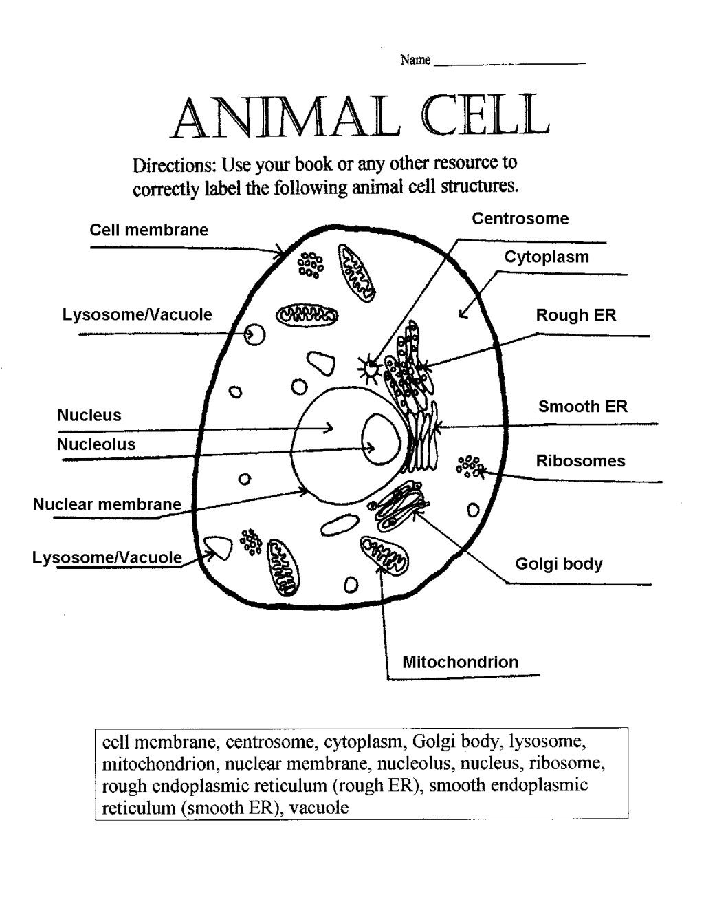 Plant Cell Drawing With Labels Plant And Animal Cell Pictures With ...