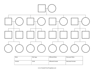 Pedigree Chart Template | Pedigree chart, Family tree project, Family ...