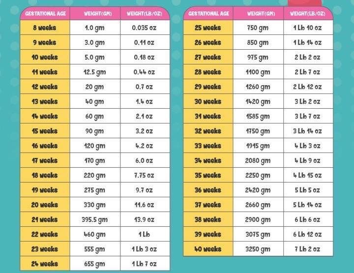 Baby growth chart – Artofit