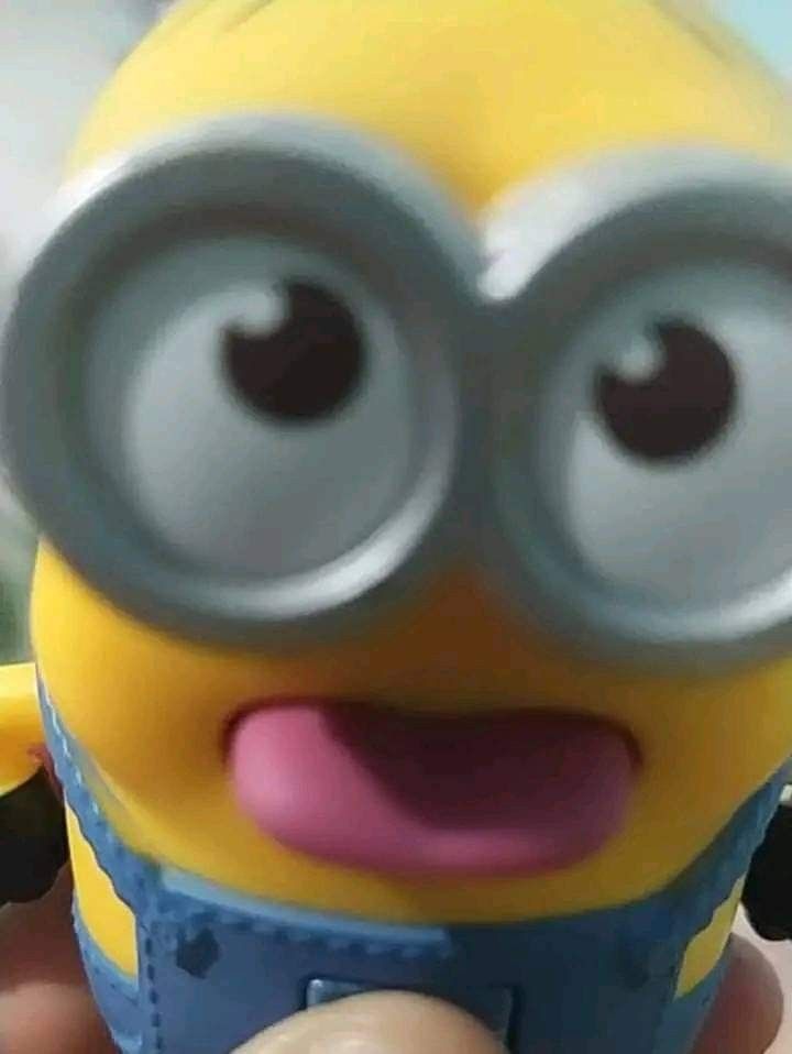 Minion😻 | Cosas de minions, Cosas de minion, Imagenes de los minions