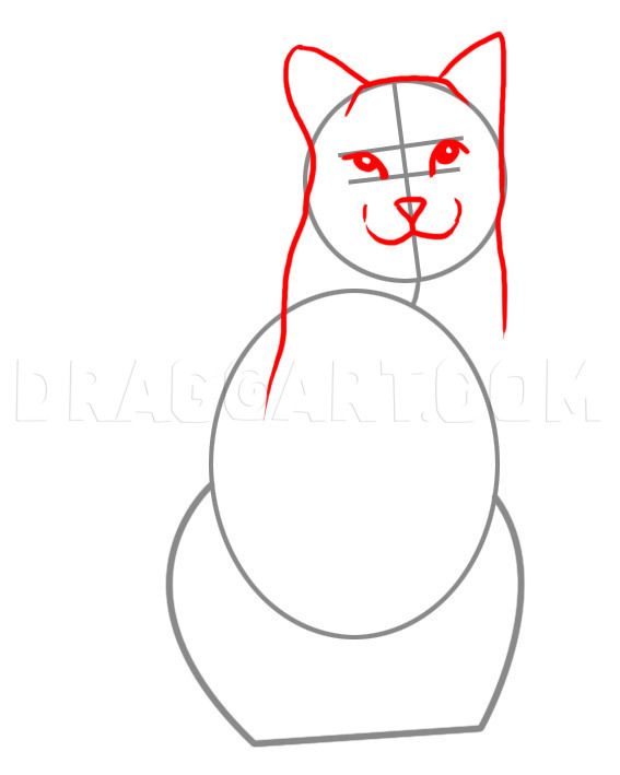 How To Draw A Realistic Cat, Draw Real Cat, Step by Step, Drawing Guide ... image.