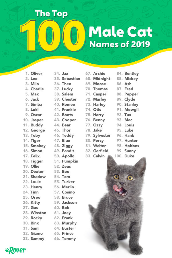 Cute Kitten Boy Names