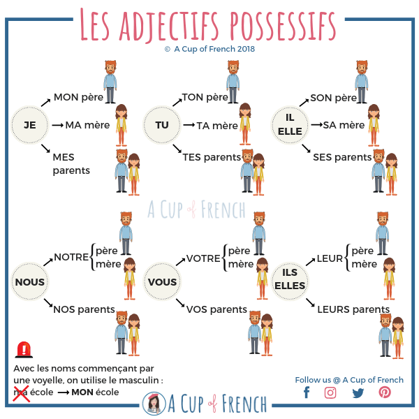 French Possessive Adjectives Chart