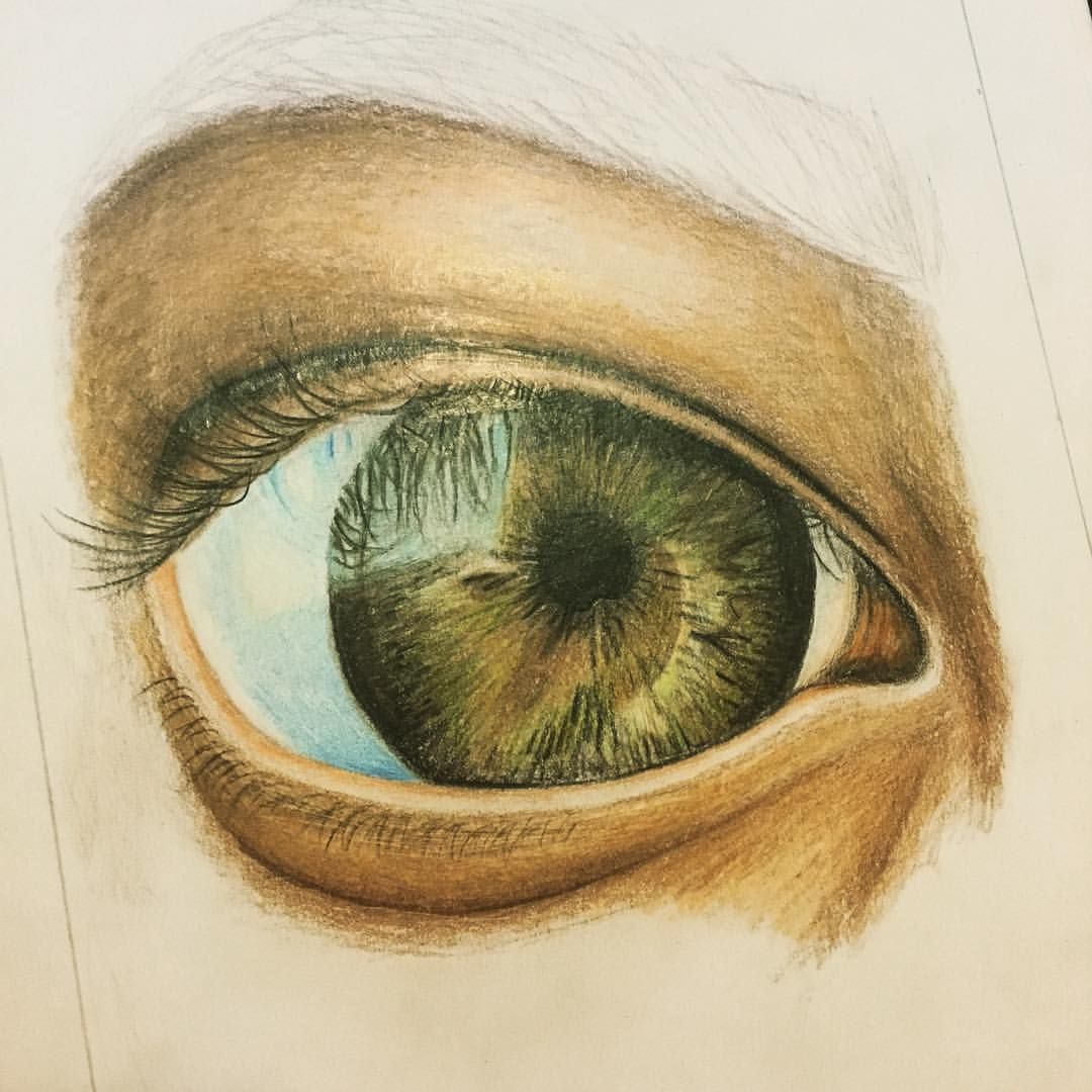 a drawing of an eye with green and brown irise colored pencils on paper