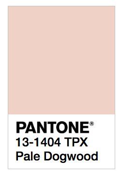 Pantone Pale Dogwood Pale Dogwood Pantone, Cosy Interior, Interior ...