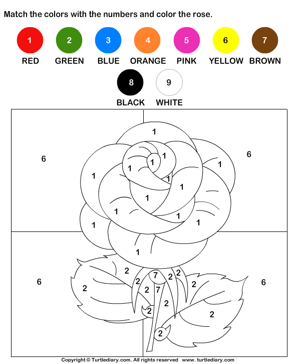 Download and print Turtle Diary's Color the Rose by Numbers worksheet ...