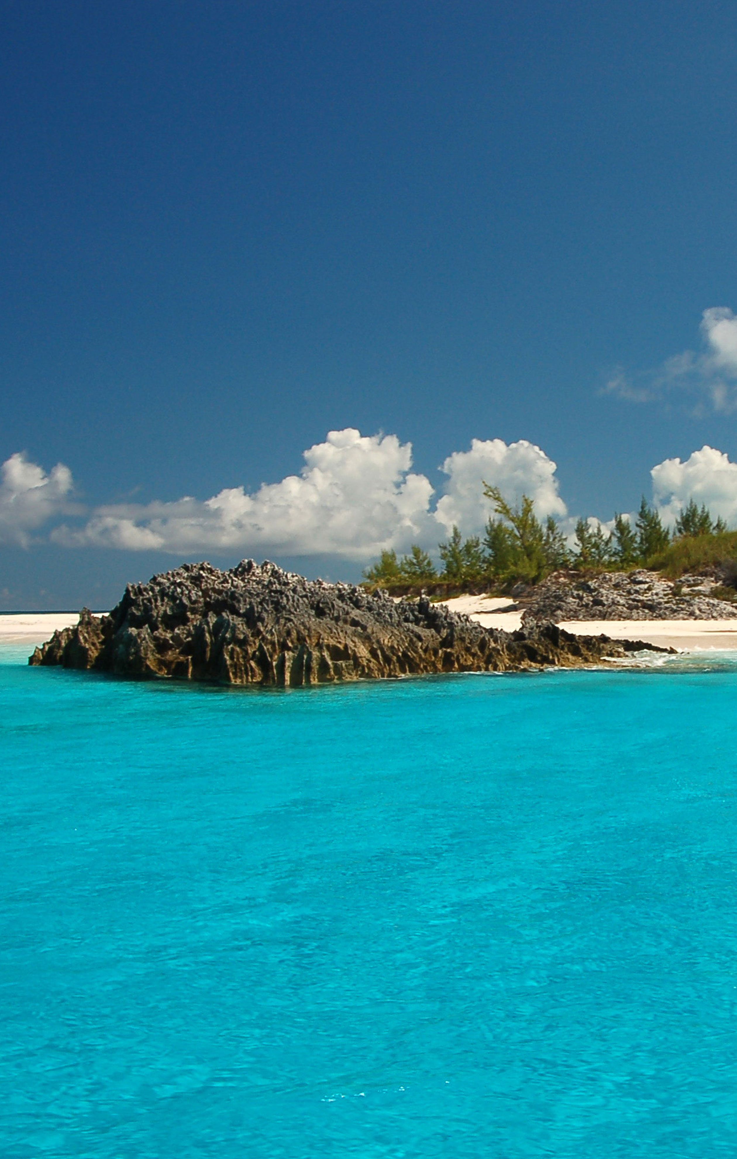 2Night Bahamas Cruise for Two from Bahamas Paradise 