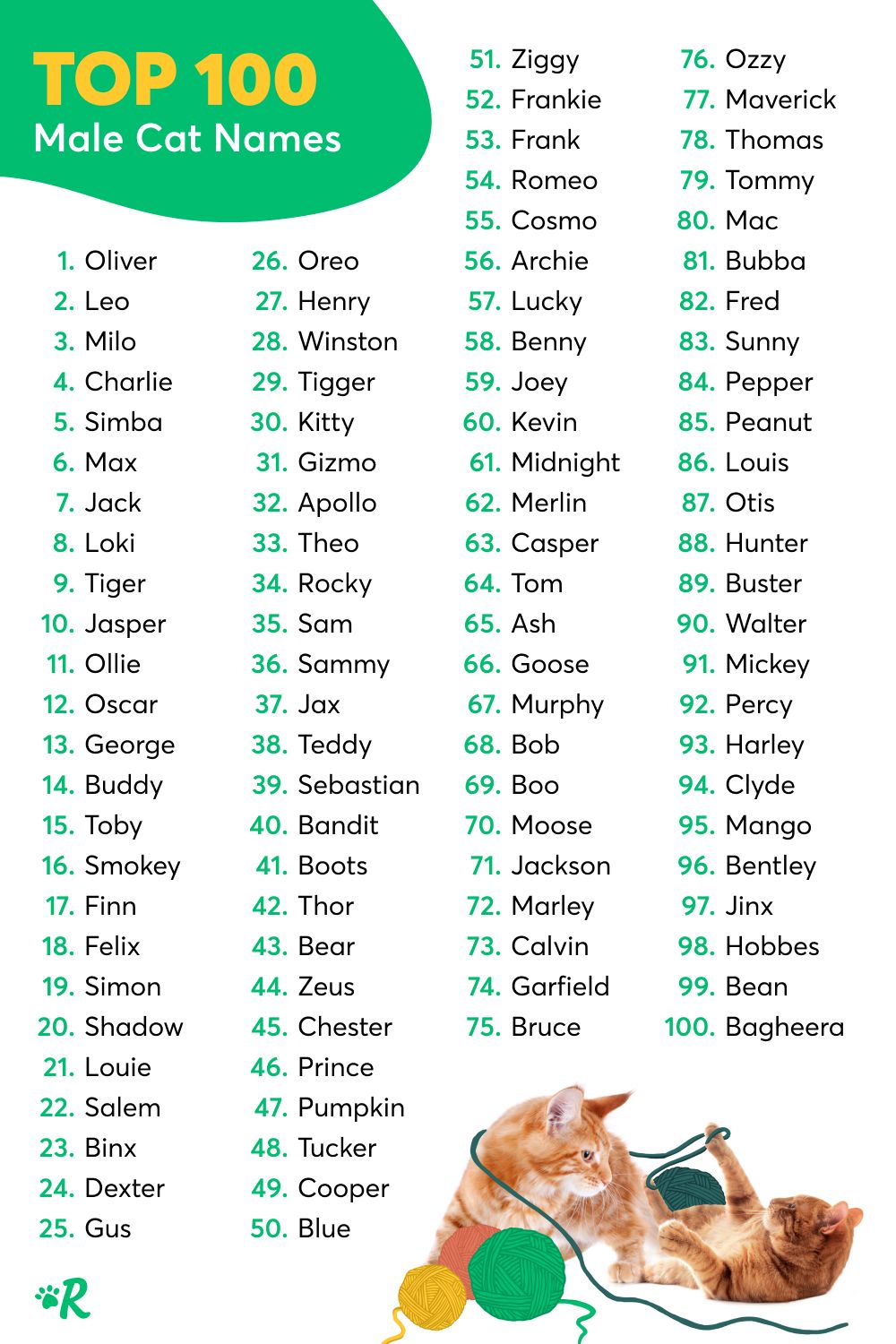 Boy Cat Names, Cute Cat Names, Dog Names, Ginger Kitten, Ginger Cats ...