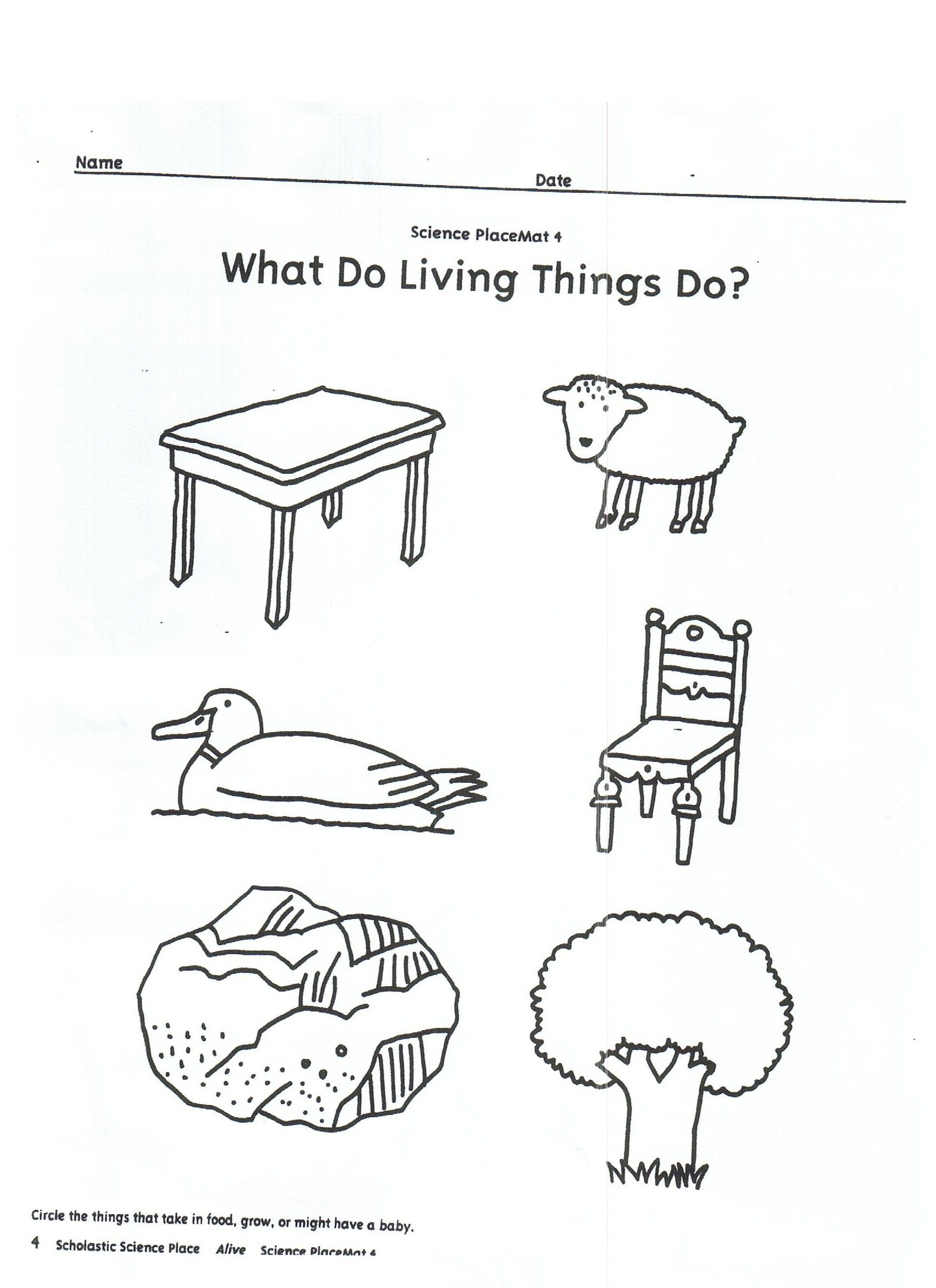 Living Vs Nonliving Worksheet Kindergarten