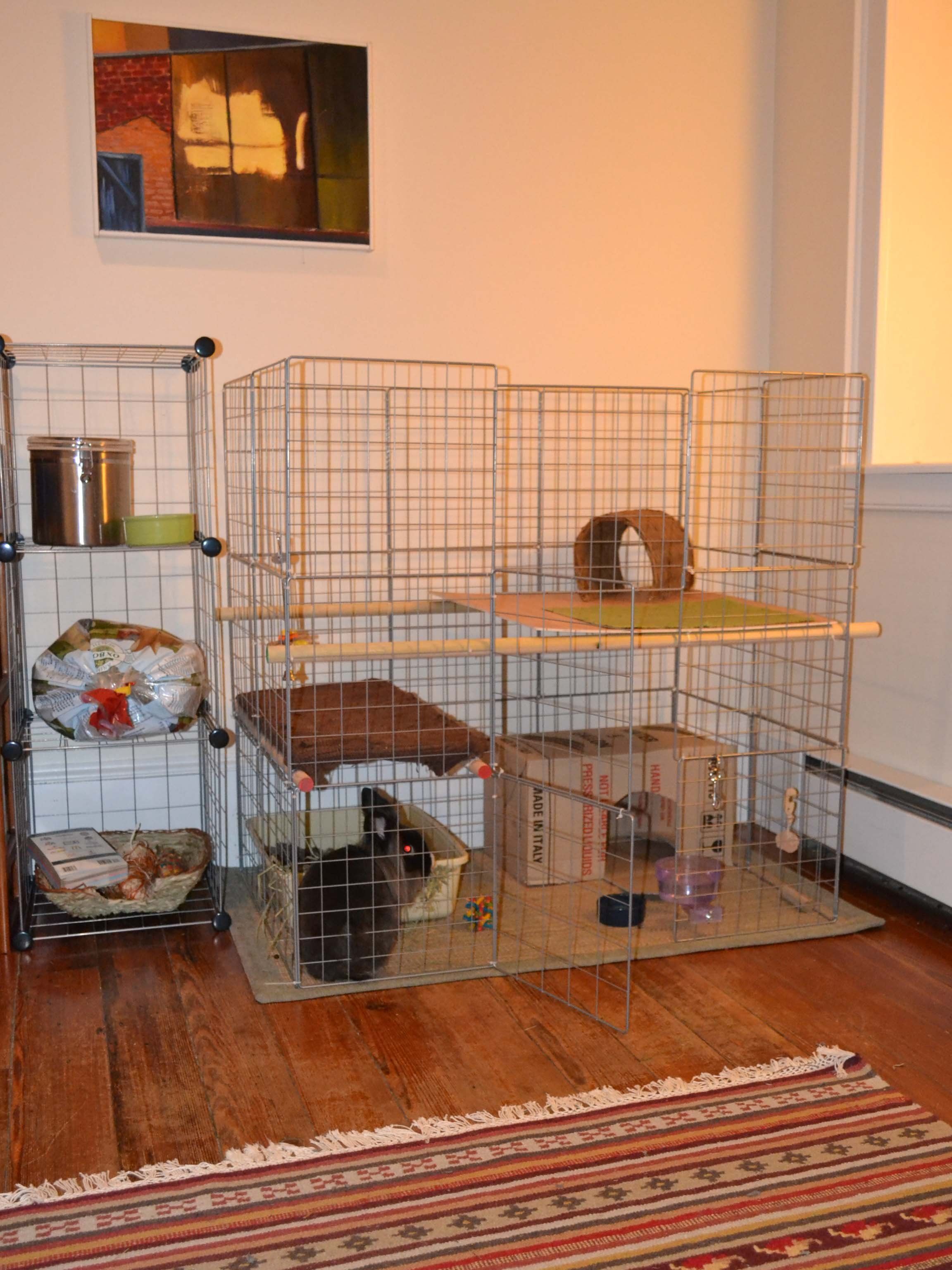 How To Build an Indoor Bunny Cage Bunny cages, Diy bunny