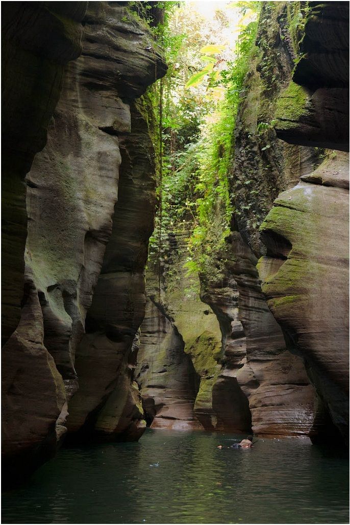 millennium cave - vanuatu | Rock river, Vanuatu, Tropical islands