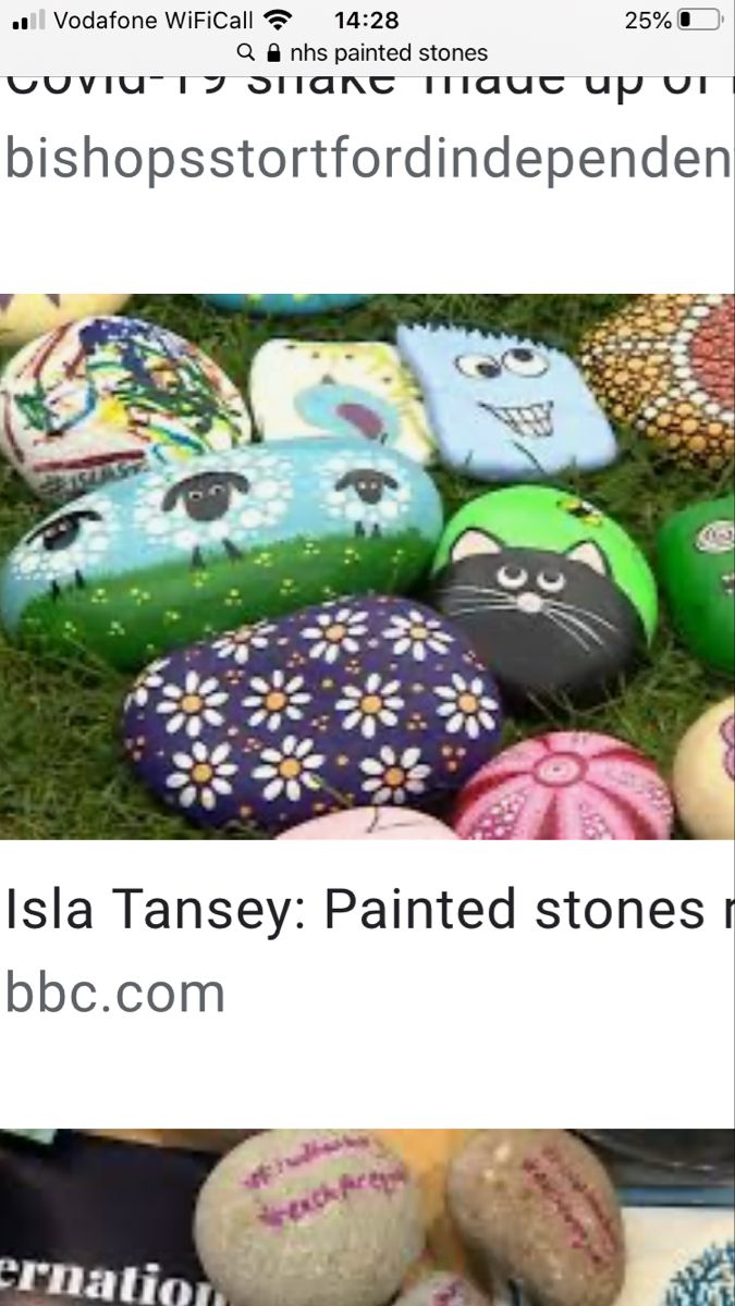 Pin by Terri Larson on Rock painting art | Stone painting, Painted ...