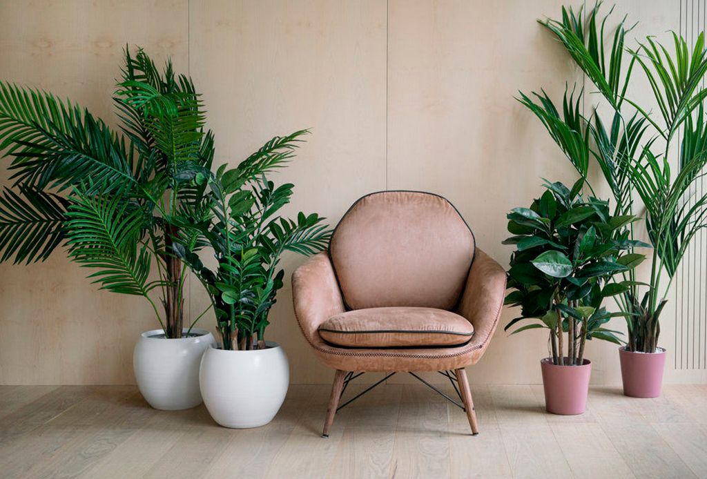 6 plantas ideales para espacios con poca luz natural | Garden nook, Big ...