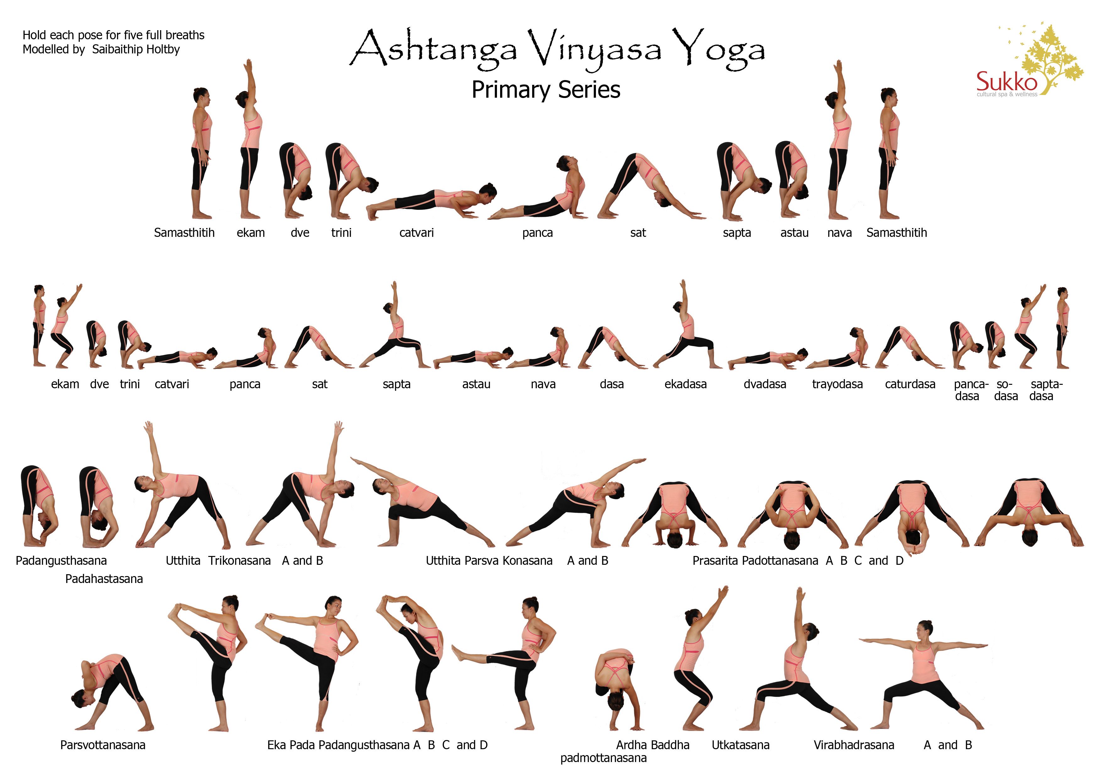 Ashtanga yoga primary series, Ashtanga vinyasa yoga, Vinyasa yoga poses