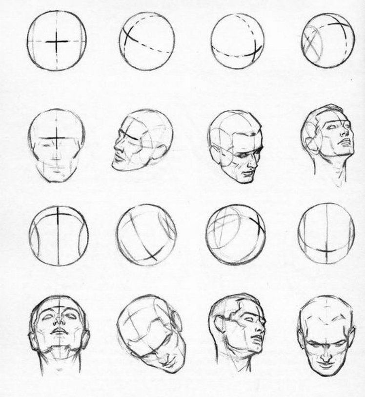 Andrew Loomis head | Drawing the human head, Human drawing, Drawing heads