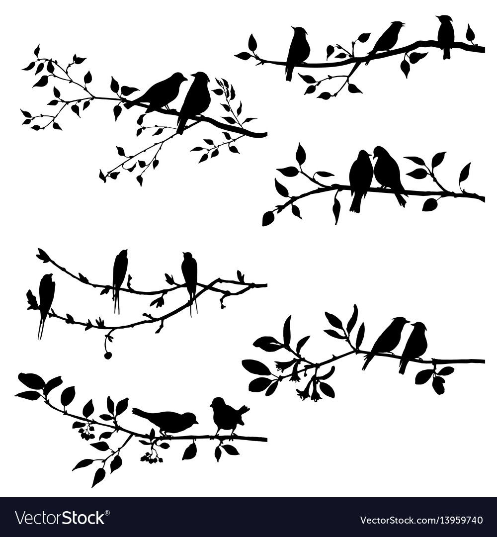 four birds sitting on branches with leaves silhouetted against the ...