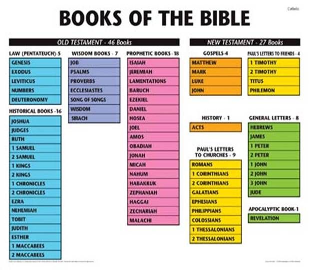 Bible timeline of Genesis | Bible study tips, Bible posters, Bible ...