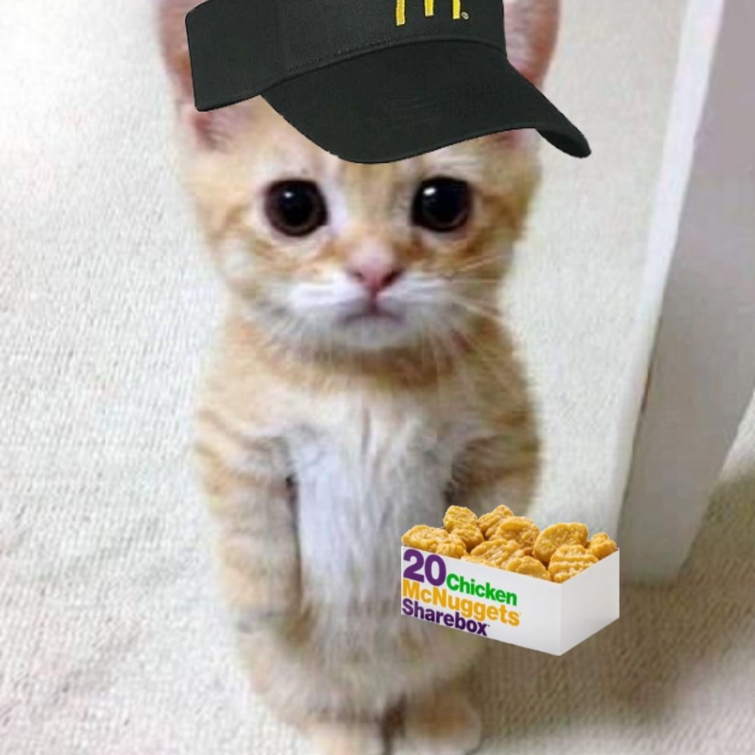 matching mcdonalds cat pfp | matching pfps | Matching cat pfp friends ...