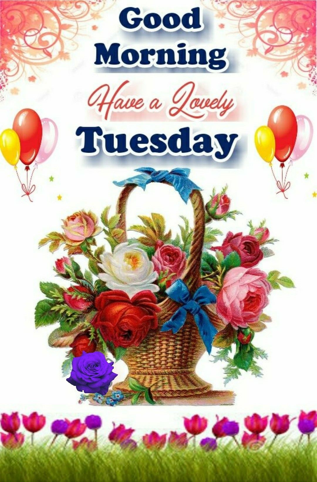 Good Morning Tuesday Greetings | Tuesday greetings, Good morning ...