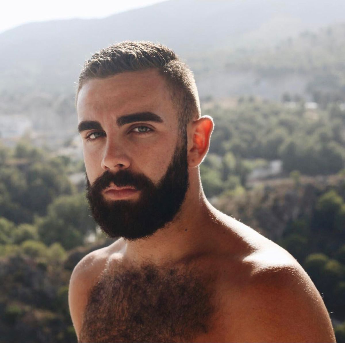 Great Beards, Awesome Beards, Hairy Men, Bearded Men, Shirtless Hunks ...