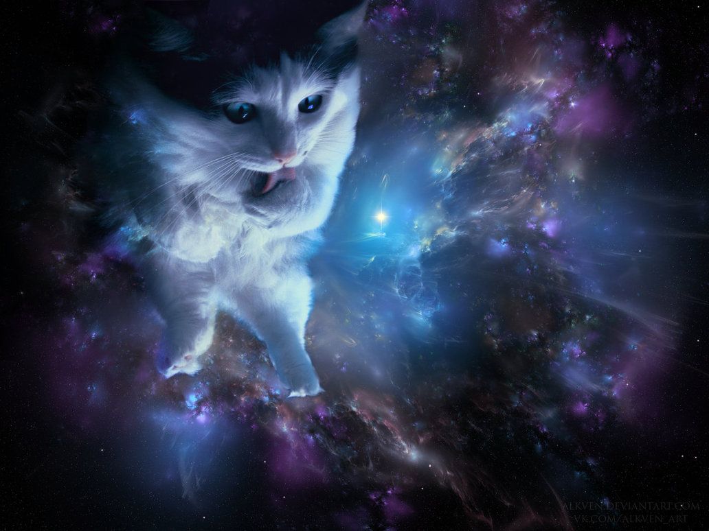 Premium Photo  Space cat in space godlike creature cosmic awe inspiring  dreamy digital illustration generative ai