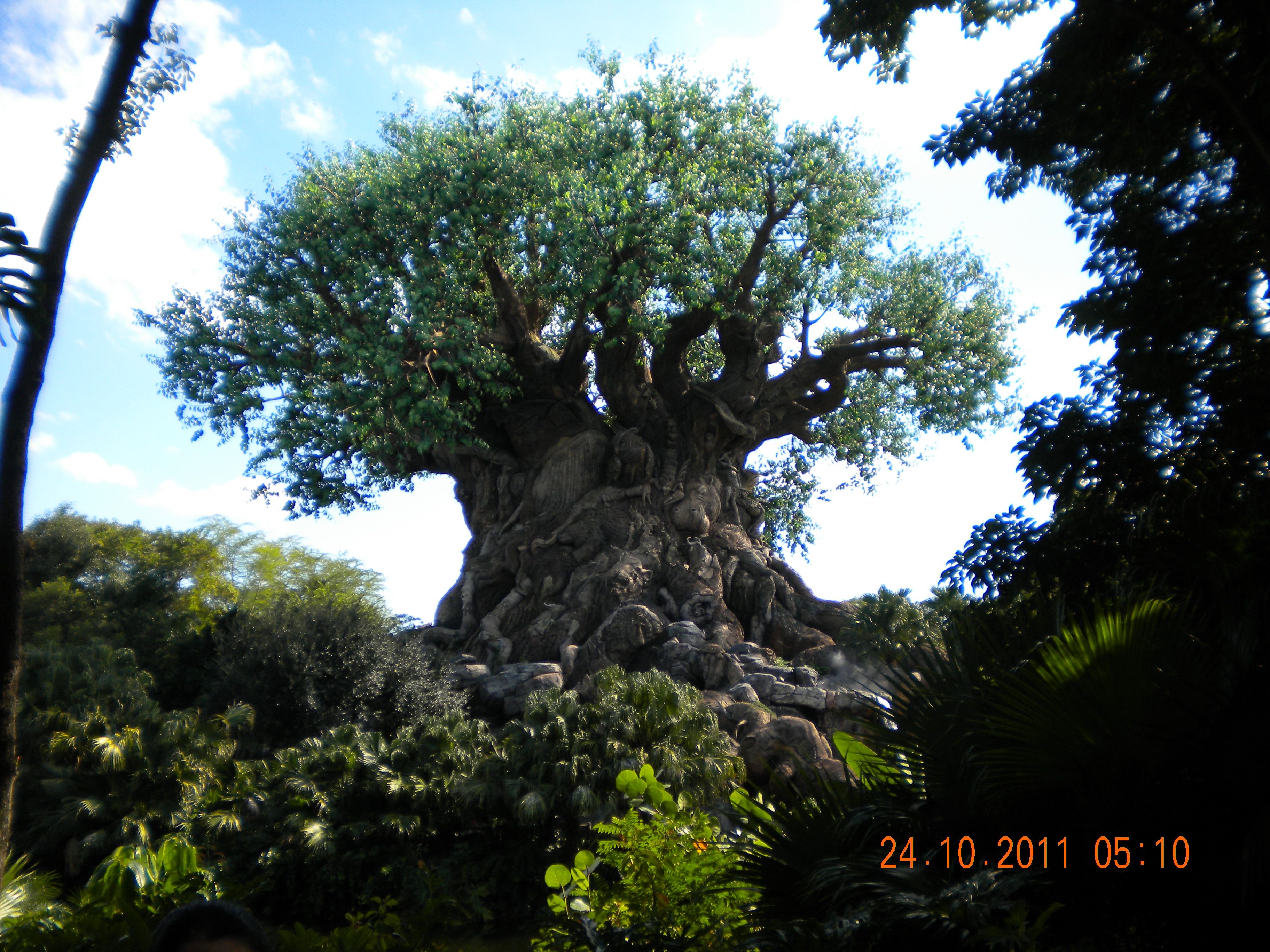 Download the tree of life, Animal Kingdom, Disney World, Florida | Animal kingdom disney, Disney world ...