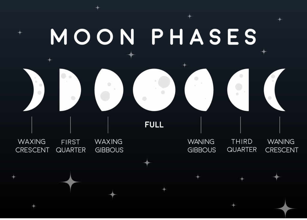 HOW THE MOON AFFECTS US | Moon phases art, Moon phases drawing, Moon phases