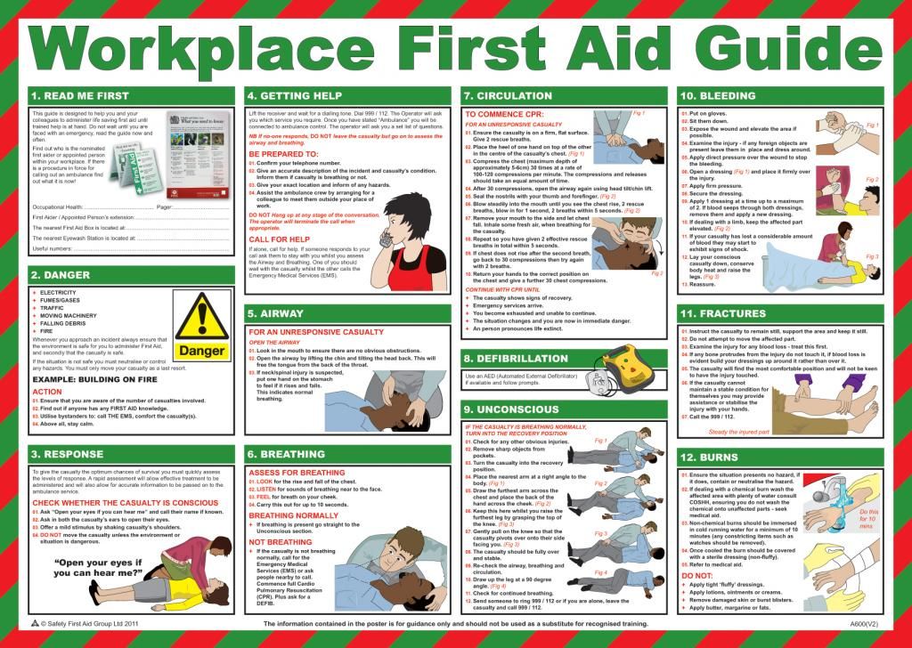 Printable First Aid Manual Pdf