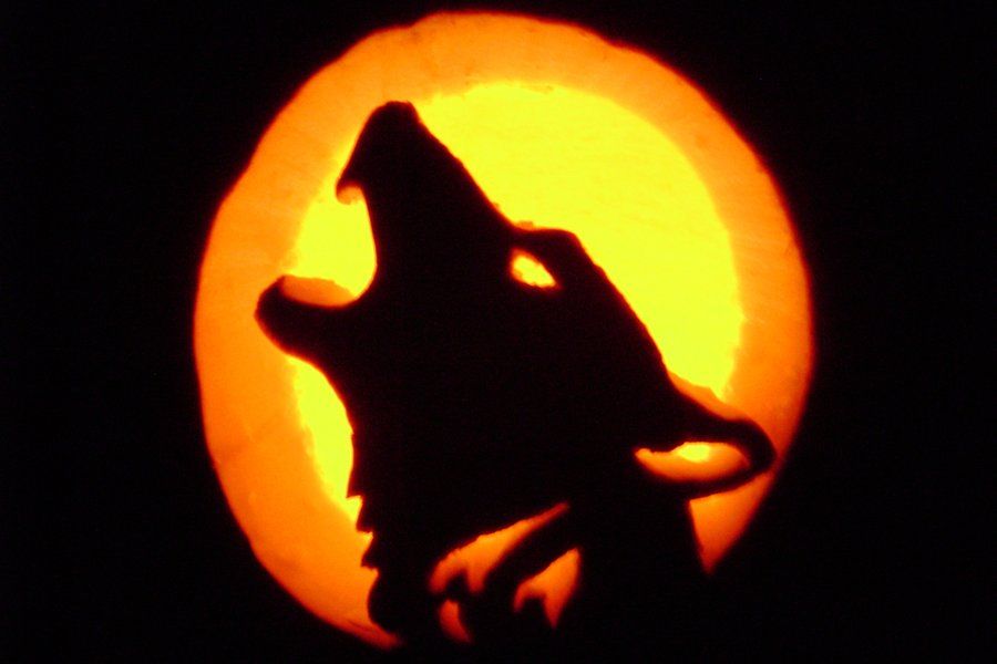 pumpkin wolf carving | Wolf Pumpkin Carving by Storms-shadow on ...