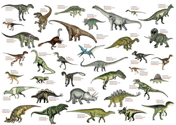 dinosaur names and pronunciation | Dinosaur pictures, Dinosaur drawing ...