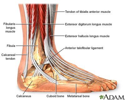 'Feetinmyshoes'에 있는 핀