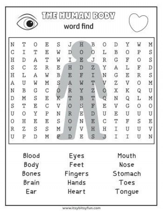 Free Printable Human Body Worksheets - Free Printable Worksheet