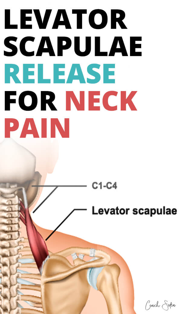 Levator Scapulae Release for instant neck pain. Neck tightness can ...