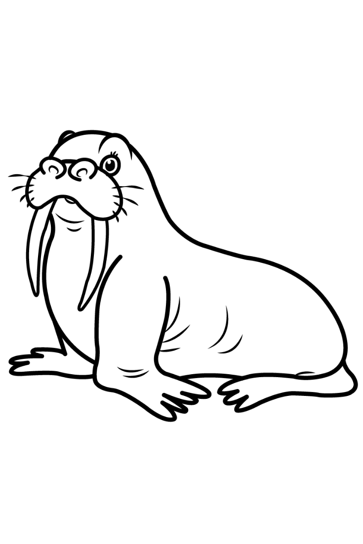 10 Top Walrus Coloring Pages