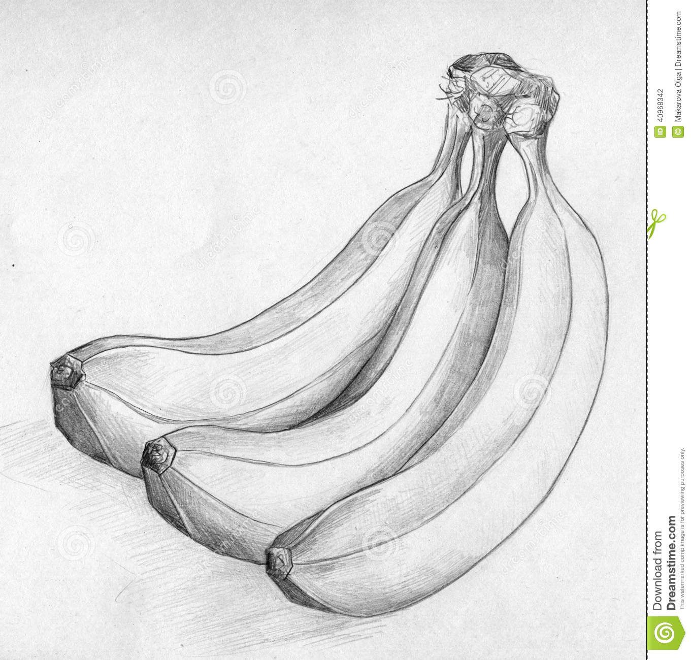 Banana Pencil Sketch