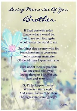 Found on Bing from www.pinterest.com | Little brother quotes, Brother ...