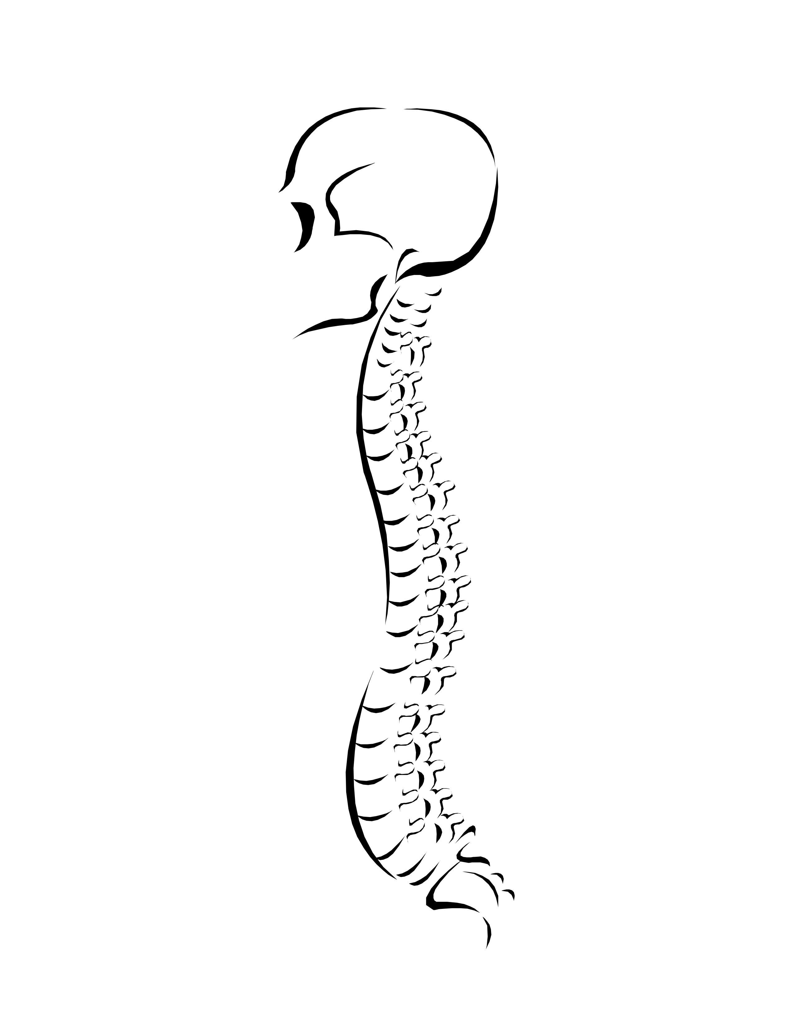 Chiropractic Spine Clipart