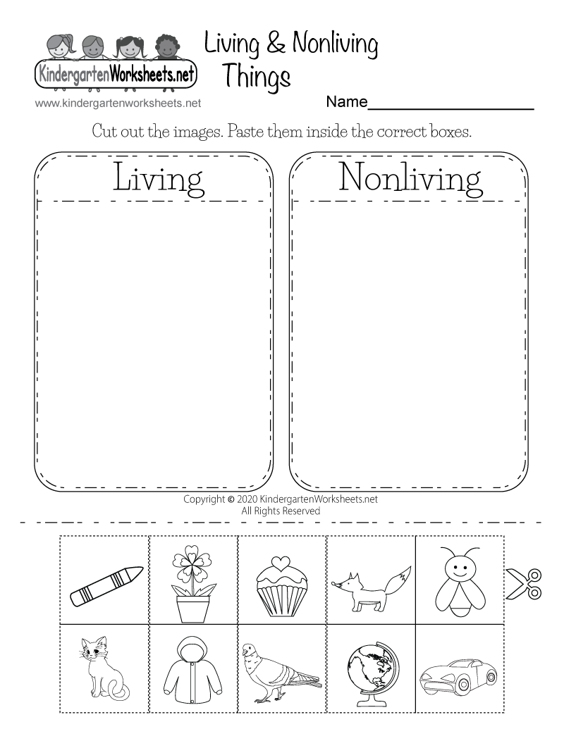 Living And Non-living Things Kindergarten